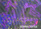 যোগ প্যান্ট জন্য উচ্চ বর্ধন ফ্যাব্রিক, 4263D 220gsm স্যুইট Wicking ফ্যাব্রিক