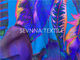 ঝলমলে প্রিন্টিং চকচকে প্যাটার্ন পুনর্ব্যবহারযোগ্য সাঁতারের পোশাক ফ্যাব্রিক টাইট ফিট